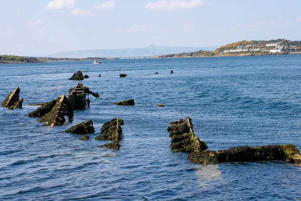Bull Shark Ponto Do Ouro