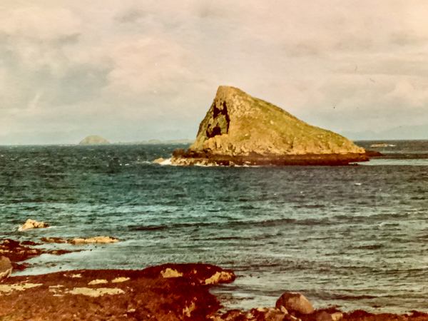 Bull Shark Ponto Do Ouro