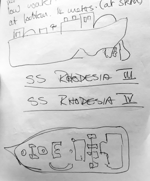 Bull Shark Ponto Do Ouro