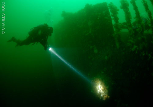 Diving the Brummer