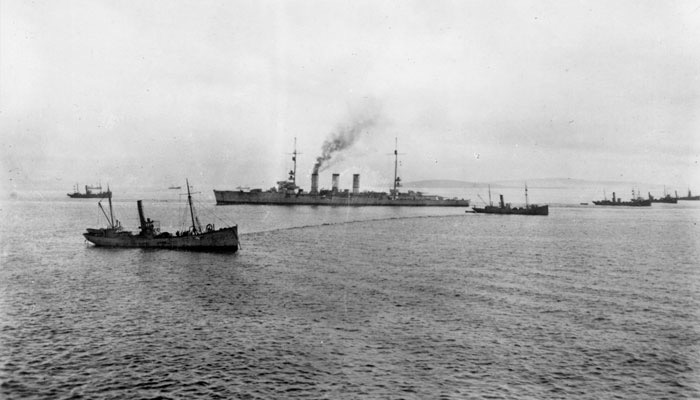 Bull Shark Ponto Do Ouro