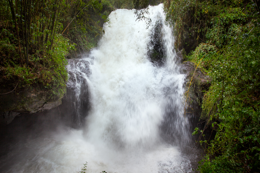 Stacks Image 735