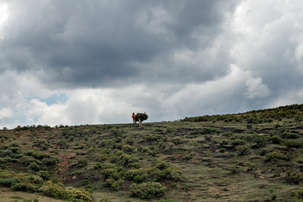 Sand Dune Sossusvlei