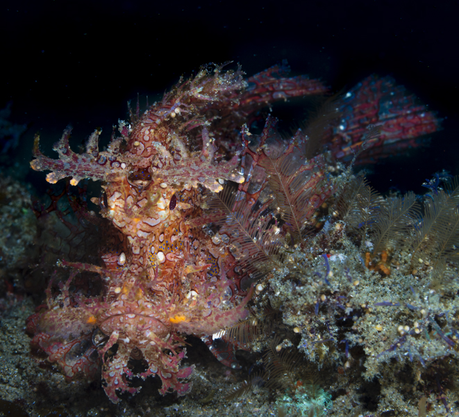 Stacks Image 1586