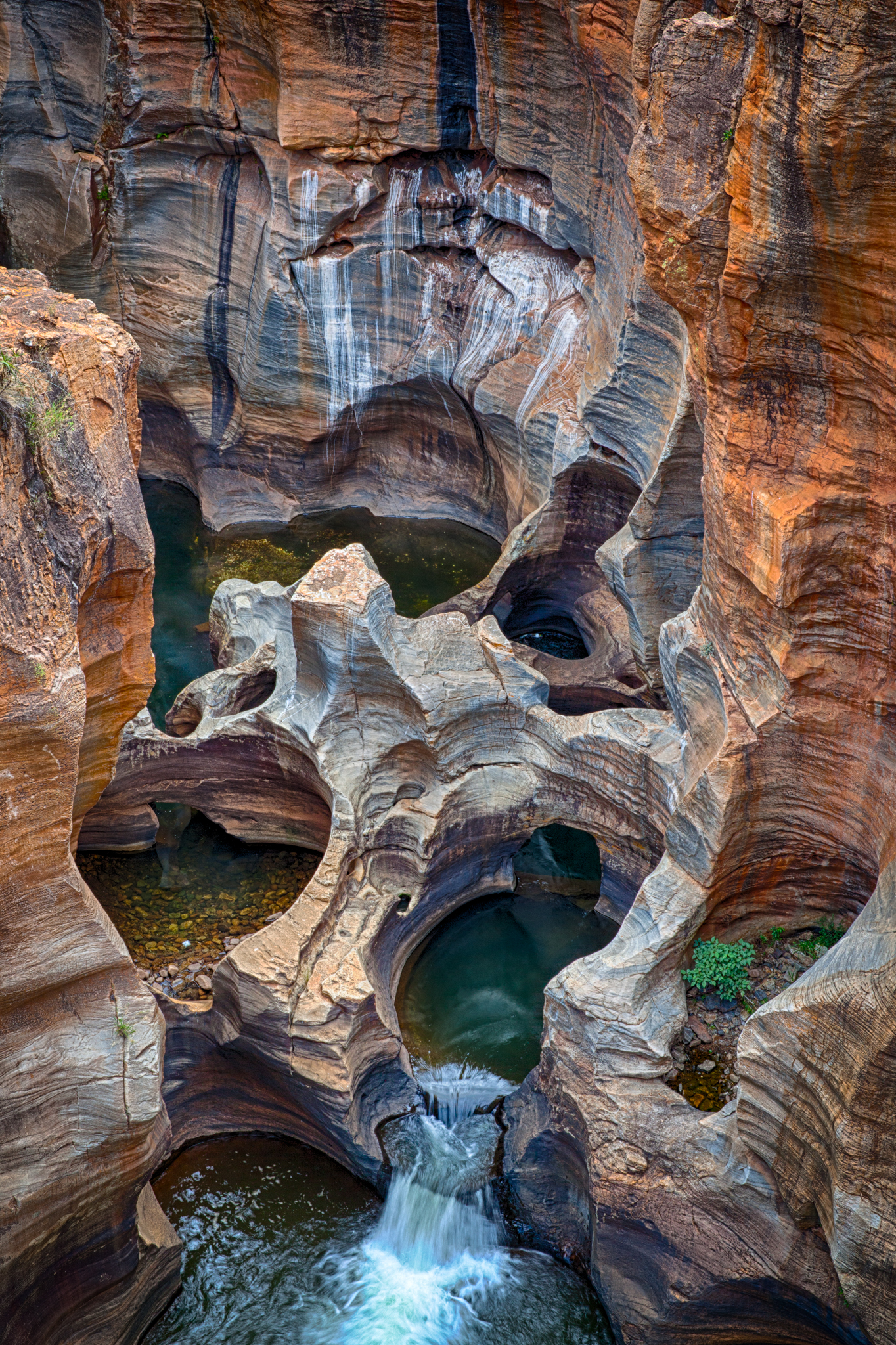 Gannet Colony Lamberts Bay