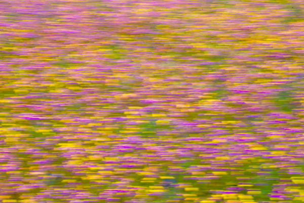 Fishing Boat Sunset Lamberts Bay