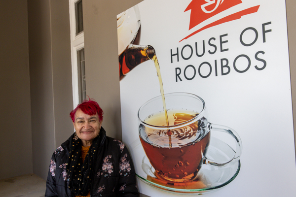 Gannet Colony Lamberts Bay