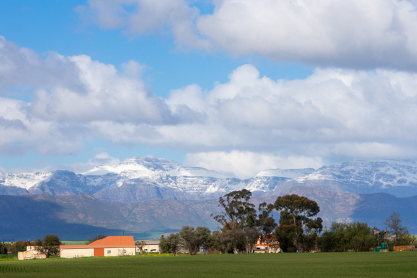 Lamberts Bay Fishing Trawler