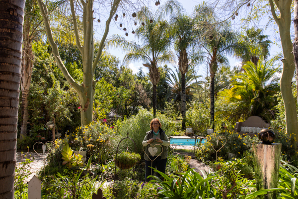 Lamberts Bay Fishing Trawler