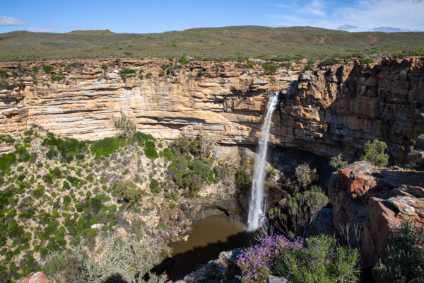 Gannet Colony Lamberts Bay