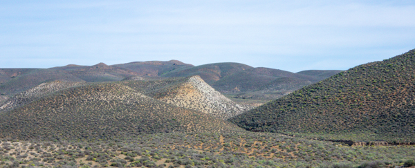 Gannet Colony Lamberts Bay