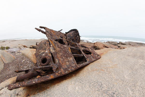 Gannets On Their Nests