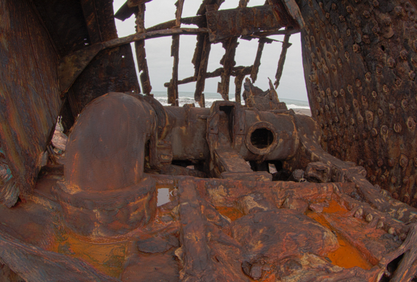 Gannets On Their Nests