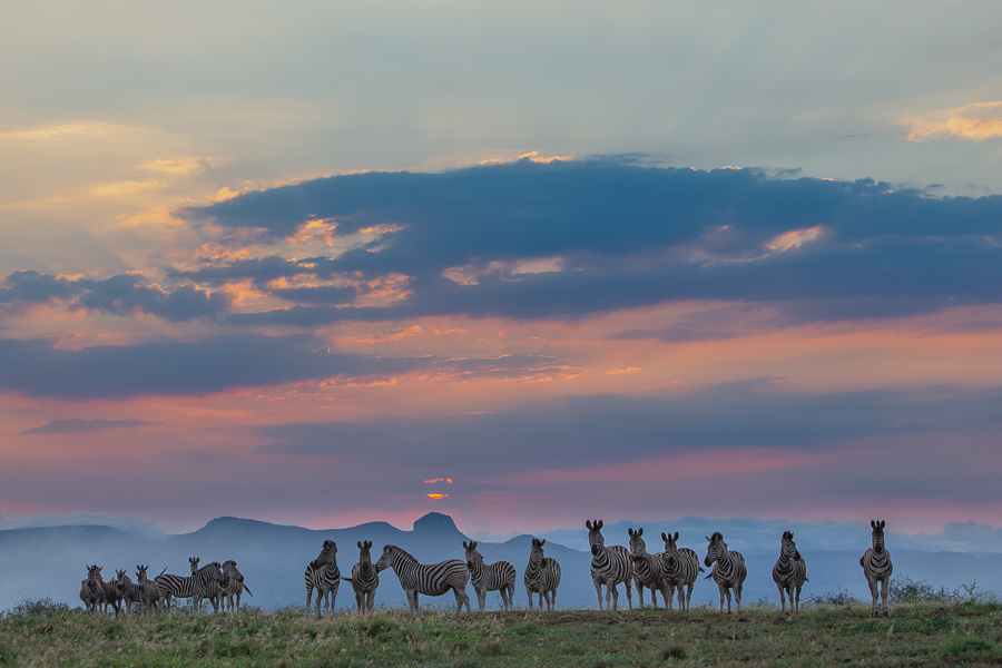 Zimanga Lodge A Pano