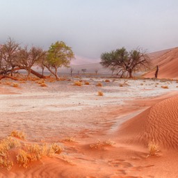 Namibian Sand Dunes